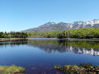 Shiretoko goko tour