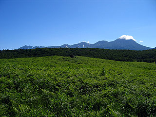 草原