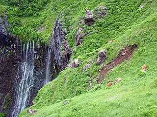 崖から噴き出すフレペの滝